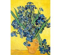Museums & Galleries Vincent Van Gogh Carte d'anniversaire vierge pour homme/femme - Iris - Respectueux de l'environnement et recyclable
