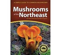 Mushrooms Of The Northeast