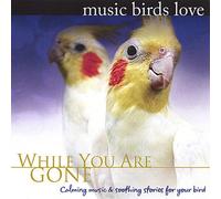 Music Birds Love: While You are Gone