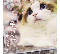 MUSIC BOX - Sotsugyou Nyuugaku Orgel [Import allemand]