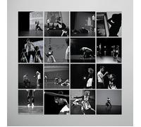 Music For Falling From Trees (Vinyl) Peter Broderick