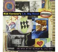 Music of pat metheny and lyle mays CD