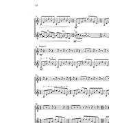 Musica Ficta / Recueil