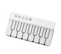 Musical Keyboard Kids, Light Up Piano, 5.98x3.23x1.18 inches, Early Educational Instrument, Interactive Sound Buttons, Music Modes for Classroom, Home Learning Fun, Black and White