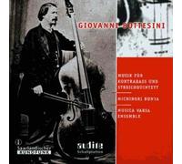 Musik Fur Kontrabass Und Streichquintett