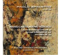 Musique Pour Guitare Et Orchestre