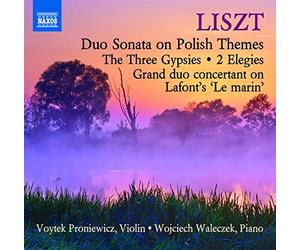 Musique pour Violon & Piano