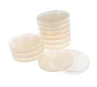 MUSISALY 10 Pièces Lot de Boîtes de Pétri Agar Préversées Plaques de Culture Microbiologique Portables pour Projets Scolaires et Recherche Scientifique