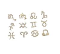 MUSISALY 12 Pièces accessoires pour les ongles Breloques pour ongles fleurs breloques d'art d'ongle Gel accessoires ongles zodiac ongles bricolage petits décors décor de bricolage d'ongle