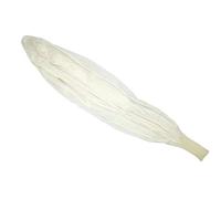 MUSISALY Ballon Météorologique Géant en Latex 610 CM Ballon Scientifique Professionnel pour Observation Atmosphérique Prises de Vue Aériennes et Fêtes 600 G pour Analyses Météorologiques