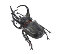 MUSISALY d'insecte de Simulation de Simulation de coléoptère Figurine de scarabée modèle de coléoptère de Style scarabée modèle d'insecte coléoptère PVC