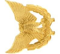 MUSISALY Insigne à Épingle en Alliage de Zinc Doré D'aigle, Symbole D'autorité pour Uniforme de Sécurité, Accessoire Unique et Luxueux pour Tenue de Sécurité