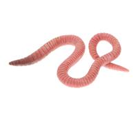 MUSISALY Modèle Ver de Terre en Plastique Réaliste 1 PC Figurine D’Insecte Factice Éducative de Reconnaissance Terre pour Garçon et Filles Décoration Pédagogique Sécurisée