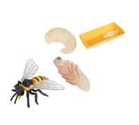 MUSISALY Modèles de Croissance des Abeilles en Plastique, Lot de 4 Set de Figurines Éducatives Réalistes pour Garçon et Filles, Cognitif et Décoratif pour Apprentissage et Éveil