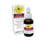 Mustard ou Moutarde des champs (Sinapis arvensis) Remèdes floraux Naturalma - Gouttes 30 ml - Extrait liquide sans alcool - Essences florales - Vegan et sans alcool
