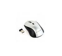 MUSW-4B-02-BS - Souris - optique - 4 boutons - sans fil - 2.4 GHz - récepteur sans fil USB - noir / argent - blister