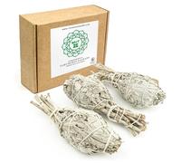 MUT22 3 Torches XL Sauge Blanche en bâton à brûler Naturelle et écologique, sahumerio Naturel, Purification des énergies négatives (3 Torches XL Sauge Blanche)