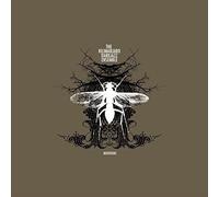 Kilimanjaro Darkjazz - Mutations [Import]