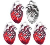Muteitt 5 Pièces Breloques Coeur Anatomiques Breloques Coeur 3D Breloques Orgue Coeur Style Tibétain Pendentifs Anatomie Humaine pour Biologie Infirmière Médicale Fabrication De Bijoux