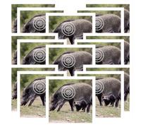 Muteitt Tir À l'arc Cible Papier 20 Pièces Sanglier Tir À l'arc Jeu De Fléchettes Papier Chasse Tir À l'arc Kit Standard Anneau Complet Surface Cible À Point Unique