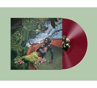 Align With Nature's Intelligence Vinyle Rose Vinyle