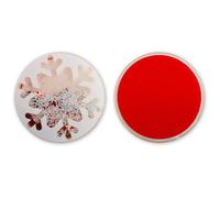 MUVIT LIFE Sticker Snowflake - RG