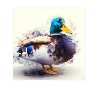 MUYGGAFF Peinture abstraite colorée sur toile représentant un canard - Décoration murale pour salon, chambre à coucher - 50 x 50 cm