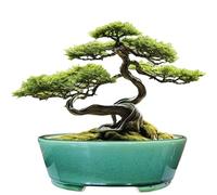 MUZHI Pot de fleurs ovale émaillé pour bonsaï avec bac d'humidité, pot classique et soigné pour bonsaï avec soucoupe Vert 22,9 cm