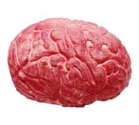Muzrunq Halloween Prop Accessoires du Corps Humain Sanglant Faux effrayants Organes du Cerveau Humain Halloween Fausses d'accessoires Parties du Corps pour Les Accessoires de fête d'halloween