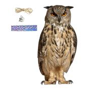 Muzrunq Hiboux en Plastique pour effrayer Les Oiseaux, dispositifs Anti-Oiseaux réalistes et étanches avec Cloche et Corde, décoration de Hibou à Suspendre pour l'intérieur l'extérieur