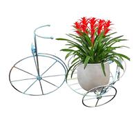 Muzrunq Jardinière pour vélo, Support de Plantes Vintage en métal de 51 x 26 x 36 cm, Support Fleurs d'extérieur antirouille, pour Jardin, terrasse