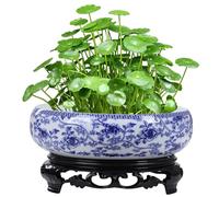 Muzrunq Planteur de Bol 6-7 Plancheur hydroponique en céramique Chinois avec Base en Plastique exquise et Rustique Pot de Plante pour Lotus, lys à Eau, Succulent