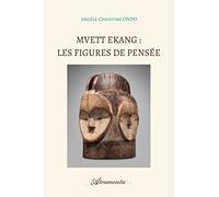 Mvett Ekang : Les figures de pensée