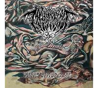 Mvltifission - Decomposition in the Painful Metamorphos
