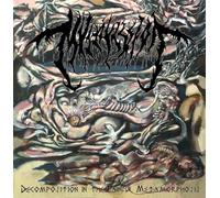 MVLTIFISSION - Decomposition In The Painful Metamorphosis LP (marble)
