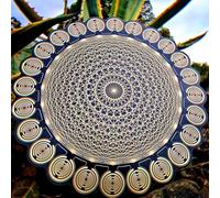 MWO Polarizing Disk, Multi Wave Oscillator Coil, Magnetic Field Antenna Pendant, MWO Polarizing Disc, Multi-Wave Oscillator Coil with 240mm Sacred Geometry Resonance 7.38 Hz Plate