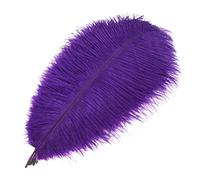 Mwoot 10pcs Naturelles Plumes d’Autruche, Ostrich Feathers Plume 25-30CM pour les chapeaux, maison, Mariage fête Décoration (Violet)