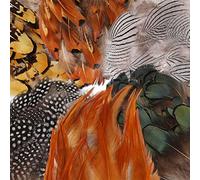 MWOOT 180 Pcs 6 Styles Assortiment De Plumes Artisanales, Plumes De Poulet Naturel pour DIY Boucle d'oreille Ailes Dream Catcher Artisanat Activités De Mariage Maison Décoration Partie