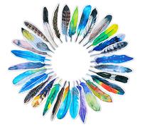 MWOOT 30 Pièces Marque-Pages en Papier,Signets de Forme de Plume,Clip de Page Bookmarks pour Fournitures de Lecture (30 Stil)