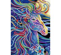MWOOT 5D Lumineux Cheval Diamant Peinture Set, DIY Diamond Art Painting Kits, Complet Ensemble Forage Broderie au Point de Croix Strass par Numéro pour Adultes Enfants Maison Murale Décor, 30x40CM