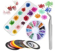 Mwoot Nail Art Set 12 Couleurs De Fleurs Séchées, 10pcs Nail Art Striping Tape,1 Boîte Nail Art Strass Tweezer, fleurs Autocollant d'ongle Optionnel Sticker Autocollant Ongle Deco Manucure
