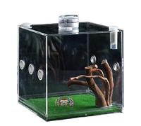 Mwqpgyh Terrarium de croissance transparent pour petits animaux de compagnie | Boîte d'élevage légère et de petits animaux pour tortues, coléoptères, escargots et lézards