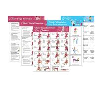 MWZBTG Tableau D'exercices Sur Chaise Pour Seniors,Poster Guide De 11 Exercices Assis,Entraînement Sans Pour Adultes âgés | Yoga Adultes Seniors