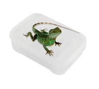 MWZBTG Terrarium pour Serpents | Bac D'Éclosion pour Geckos avec 14 Grilles | Habitat Reptile Transparent pour Élevage - Utilisation Intérieur/Extérieur pour Éleveurs Scorpions Et Araignées