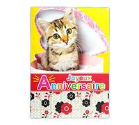 MX-3010 Grande Carte Maxi A4 Joyeux Anniversaire - Chat Chaton Mignon Félin Animal
