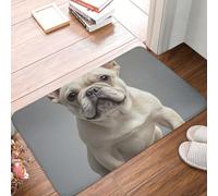 MXDLKSWPOH Paillasson discret - Antidérapant - Lavable - Motif bouledogue français - Tapis de sol - Tapis de salle de bain - Pour couloir, maison, bureau - 60 x 40 cm