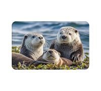 MXDLKSWPOH Paillasson discret - Antidérapant - Lavable - Motif loutres de mer - Tapis de sol - Tapis de salle de bain - Pour couloir, maison, bureau - 80 x 49 cm