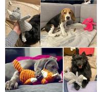 MXGRAPHIC Jouet en Peluche for Chien en Forme d'animaux, Résistant Aux Morsures, Couineur, en Velours Côtelé, for Petits Et Grands Chiens, Accessoires De Dressage for Animaux De Compagnie(8)