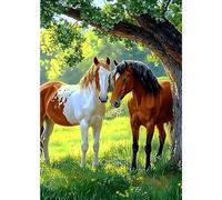 MXJSUA Deux Chevaux Peinture Diamant Adulte, 5D Diamond Painting Complet, Diamant Strass Point de Croix Cristal Painting, Murale Décoration, 30x40 cm