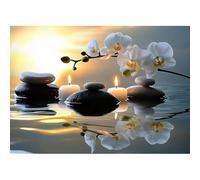 MXJSUA Diamond Painting Kit pour Adulte Débutant, Orchidées 5D Diamant Painting Images Ronde Diamond Peinture Diamant Adulte, Cristal Débutant Art Set pour Décoration Murale Maison 30x40cm